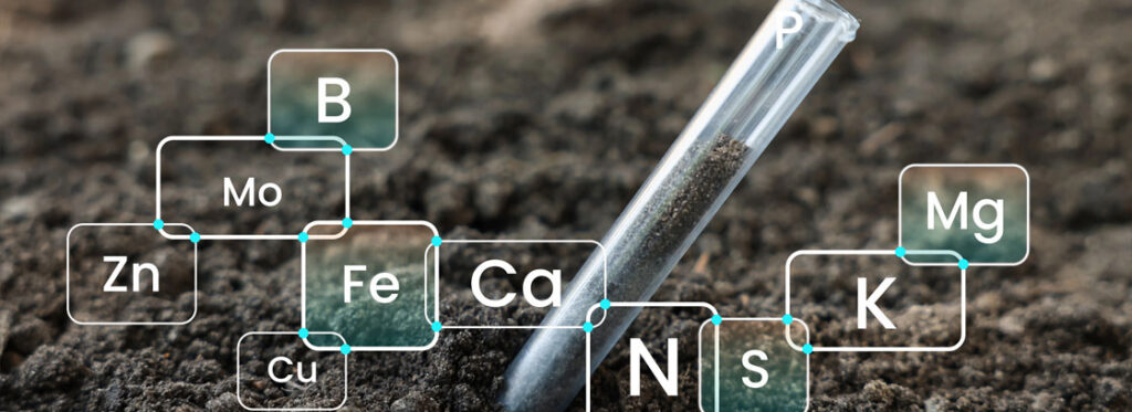 evansville foundation repair